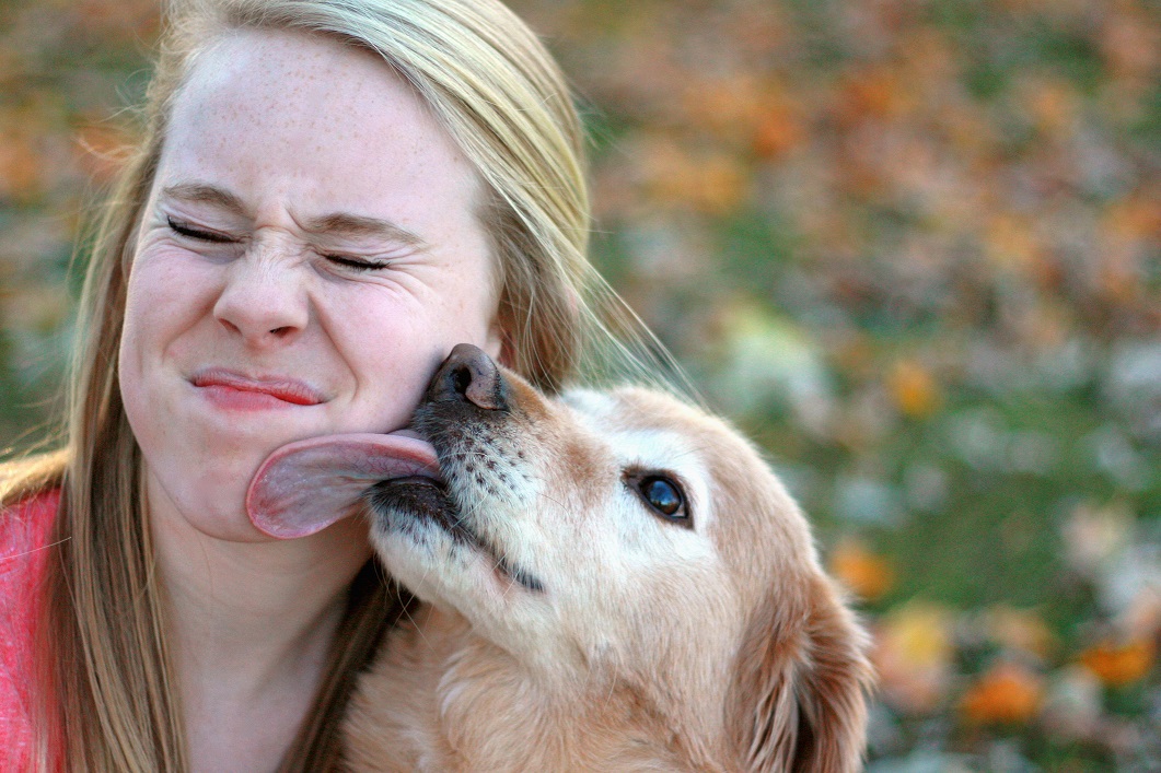 Woman Lets Dog Lick Her P Telegraph
