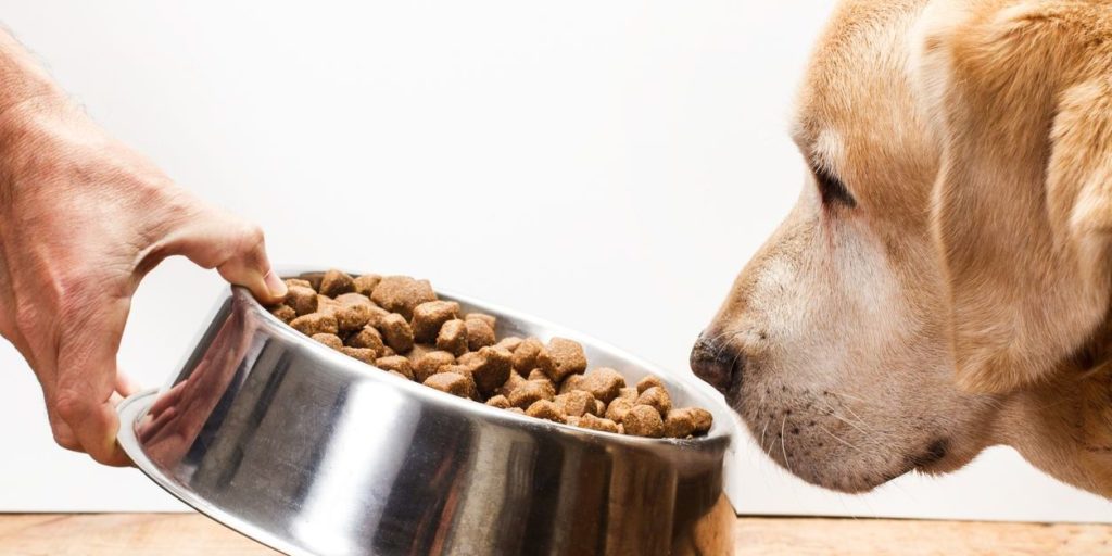 Dog food