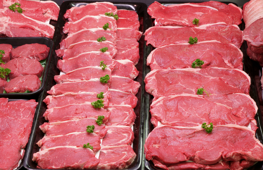 Raw Meat Pet Food Trend Under Fire