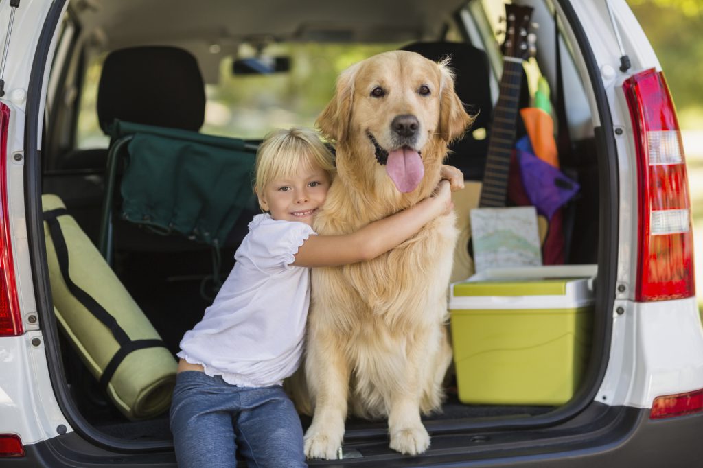 What Car? Chooses the Perfect Car for Dogs